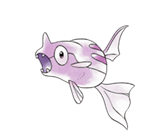 Ken Sugimori Artwork of Remoraid