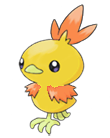 Ken Sugimori Artwork of Torchic