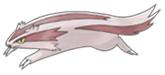 Ken Sugimori Artwork of Linoone