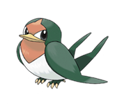 Ken Sugimori Artwork of Taillow
