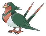 Ken Sugimori Artwork of Swellow
