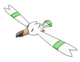 Ken Sugimori Artwork of Wingull