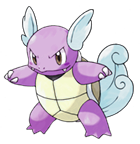 Ken Sugimori Artwork of Wartortle