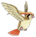 Ken Sugimori Artwork of Pidgeot