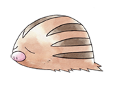 Ken Sugimori Artwork of Swinub