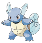 Ken Sugimori Artwork of Wartortle